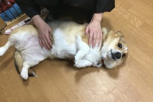 お泊まり中☆