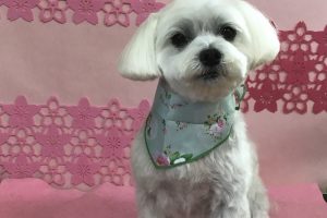 ３月のお友達☆