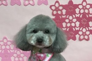 3月のお友達☆