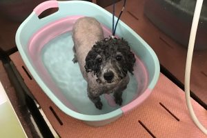 ３月のお友達☆