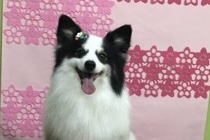 ３月のお友達☆