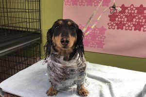 ３月のお友達☆