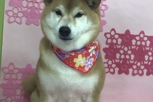 3月のお友達☆