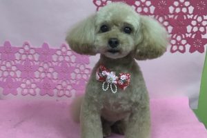 3月のお友達☆