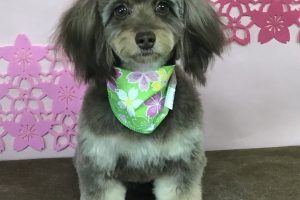 3月のお友達☆