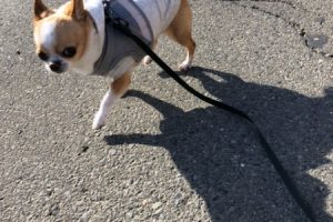 お泊まり中☆