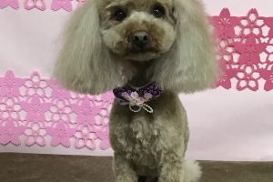 3月のお友達☆