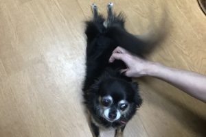 お泊まり中☆