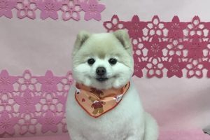 3月のお友達☆