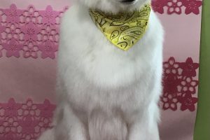 3月のお友達☆