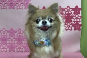 3月のお友達☆