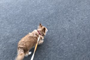 お泊まり中☆