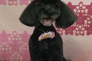 3月のお友達☆