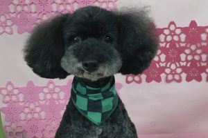 3月のお友達☆