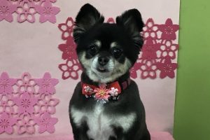3月のお友達☆