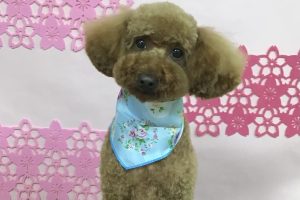 3月のお友達☆