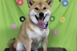４月のお友達☆