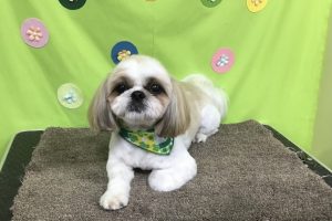 ４月のお友達☆