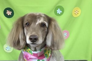 4月のお友達☆