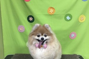 4月のお友達☆