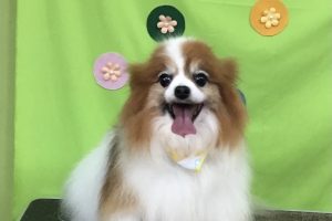 4月のお友達☆