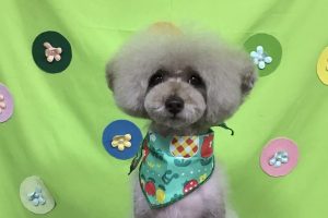 4月のお友達☆