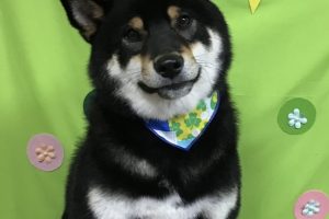 4月のお友達☆