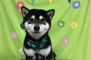 4月のお友達☆