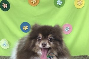 4月のお友達☆