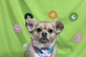 4月のお友達☆