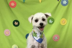 4月のお友達☆