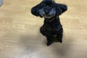 お泊まり中☆