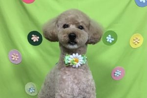 4月のお友達☆