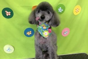 ４月のお友達☆