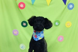 ４月のお友達☆