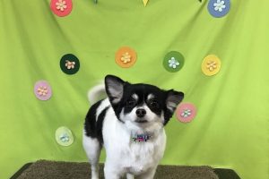４月のお友達☆