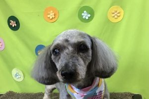 ４月のお友達☆