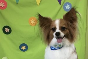 ４月のお友達☆
