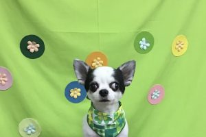 4月のお友達☆