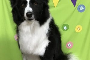 4月のお友達☆