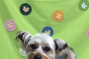 ４月のお友達☆