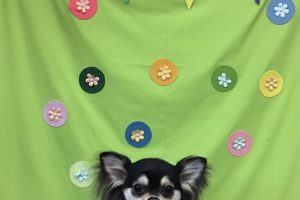 ４月のお友達☆