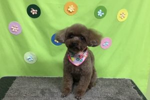 ４月のお友達☆