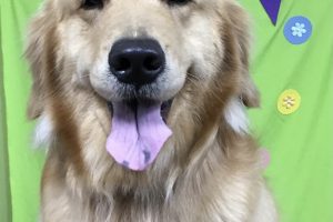 ４月のお友達☆