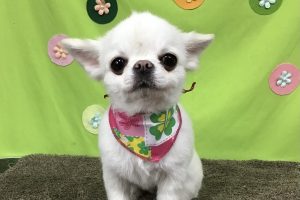 ４月のお友達☆