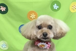 ４月のお友達☆