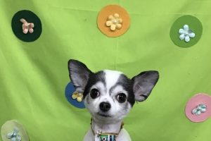 4月のお友達☆