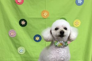 4月のお友達☆