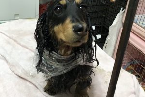 4月のお友達☆