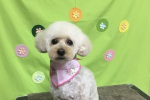 ４月のお友達☆